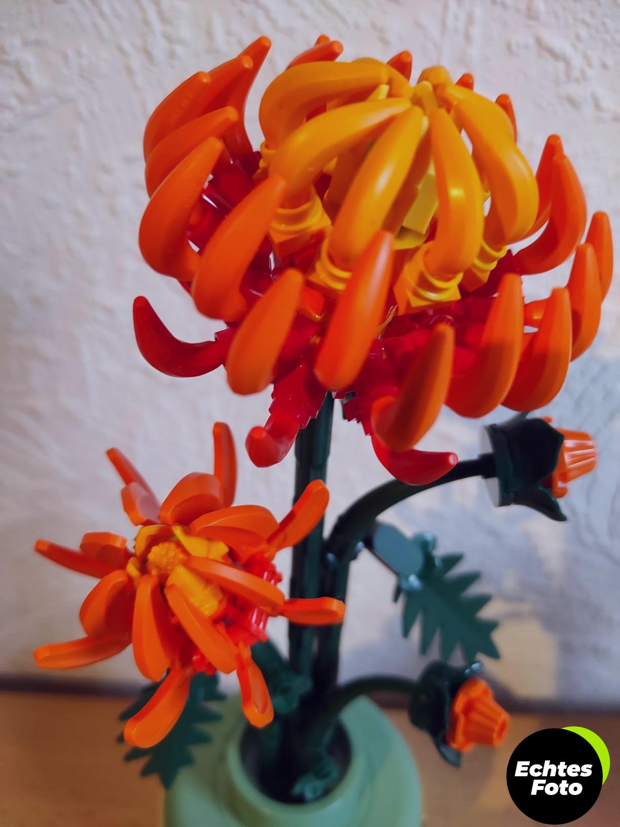 lego-botanicals-chrysantheme-set-10368-foto-2