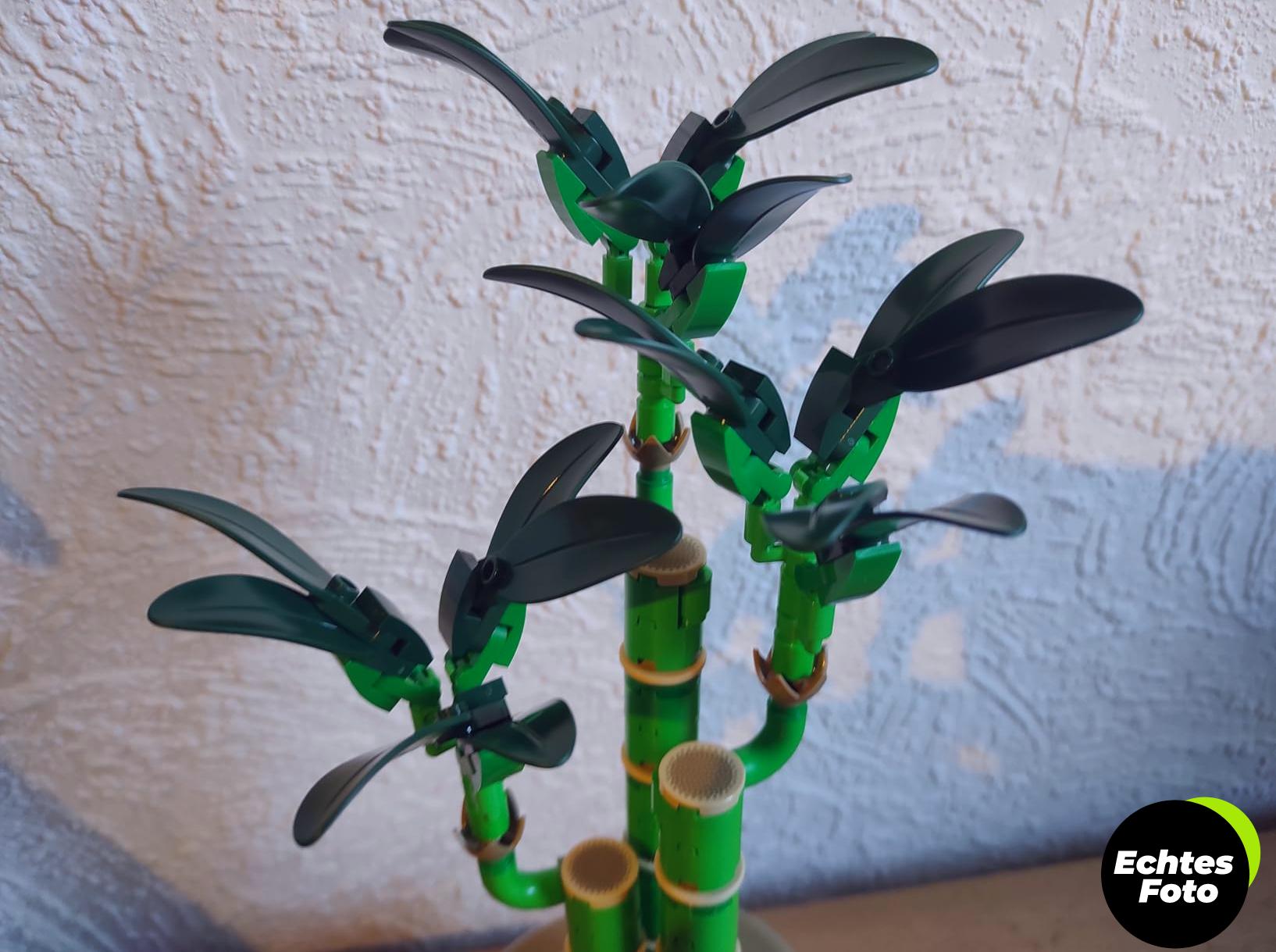 lego-botanicals-gluecks-bambus-set-10344-foto-3