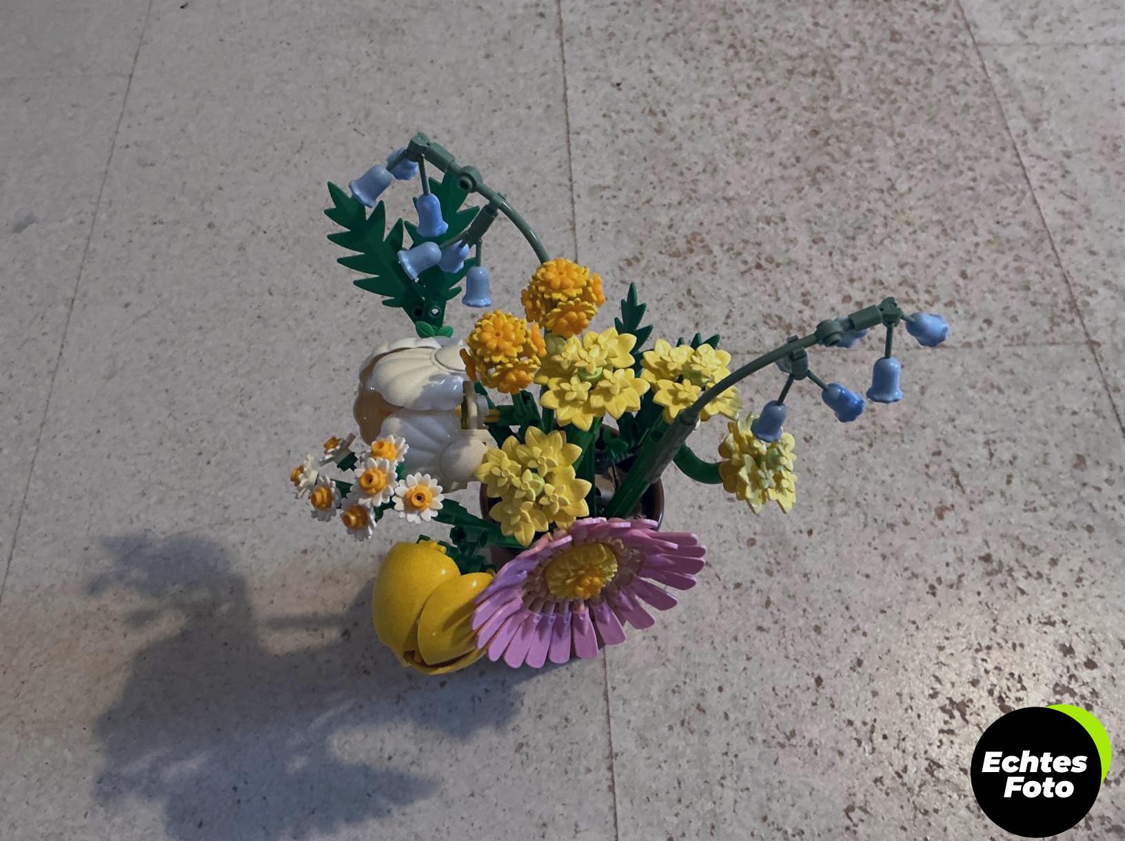 lego-botanicals-kleiner-sommerstrauss-10347-foto-1