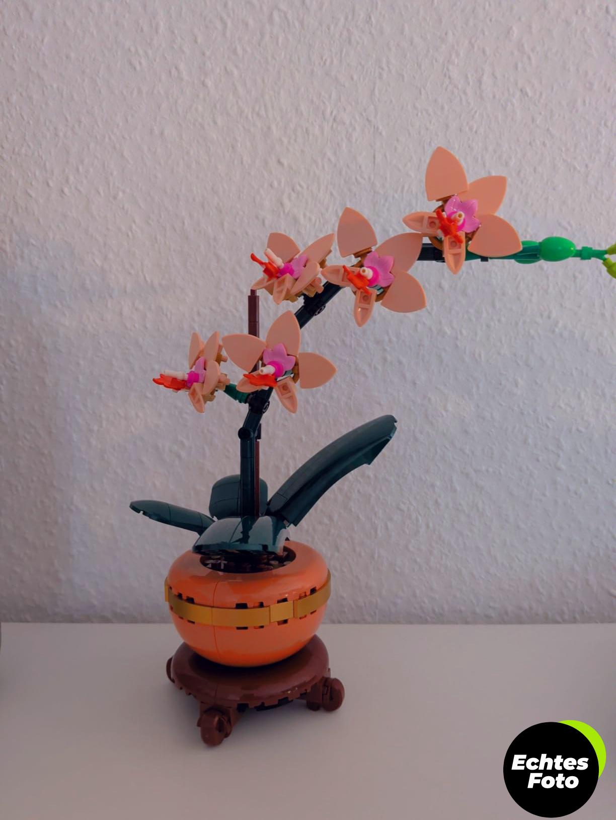 lego-botanicals-mini-orchidee-set-10343-foto-1