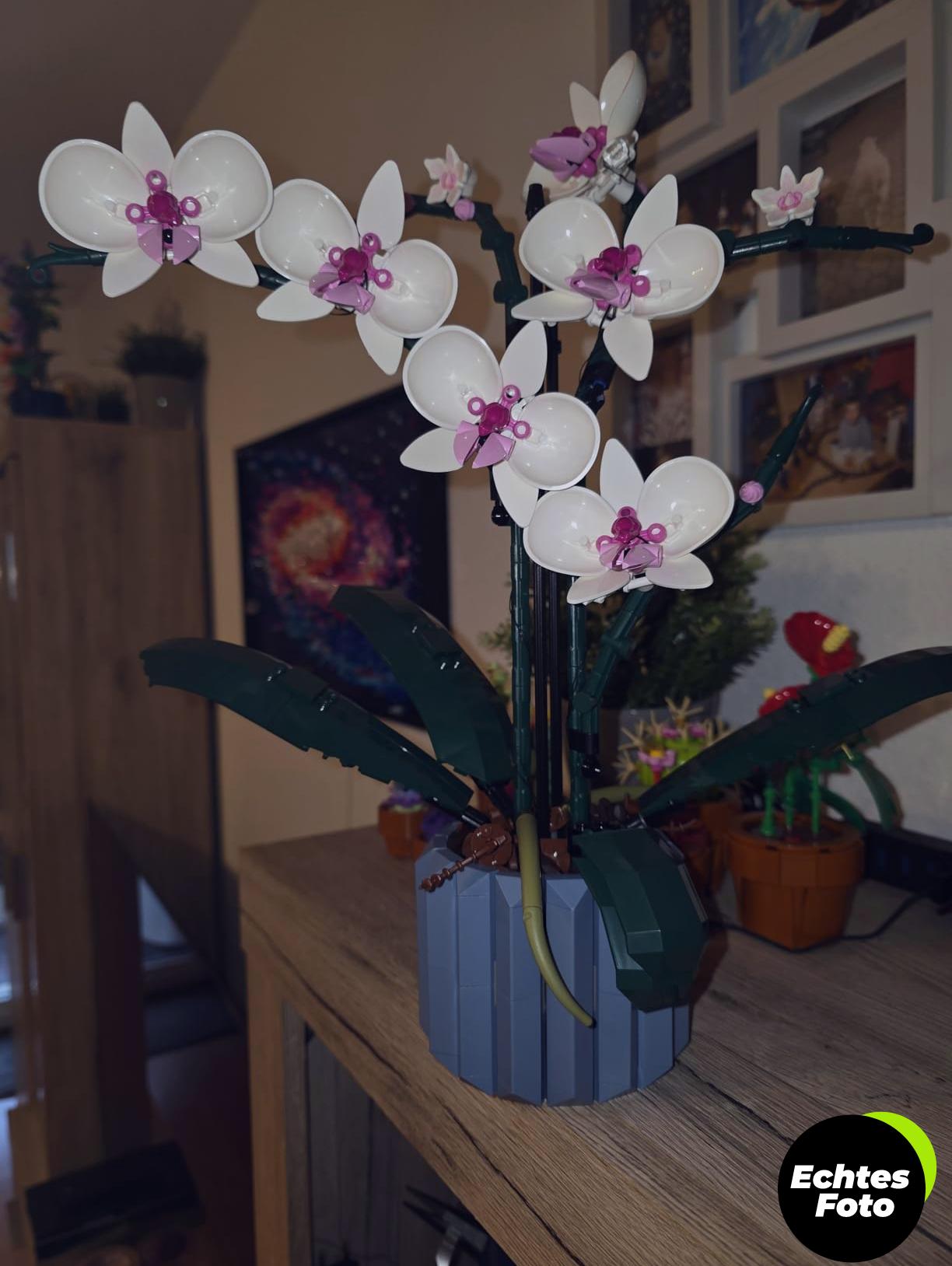 lego-botanicals-orchidee-set-10311-foto-1