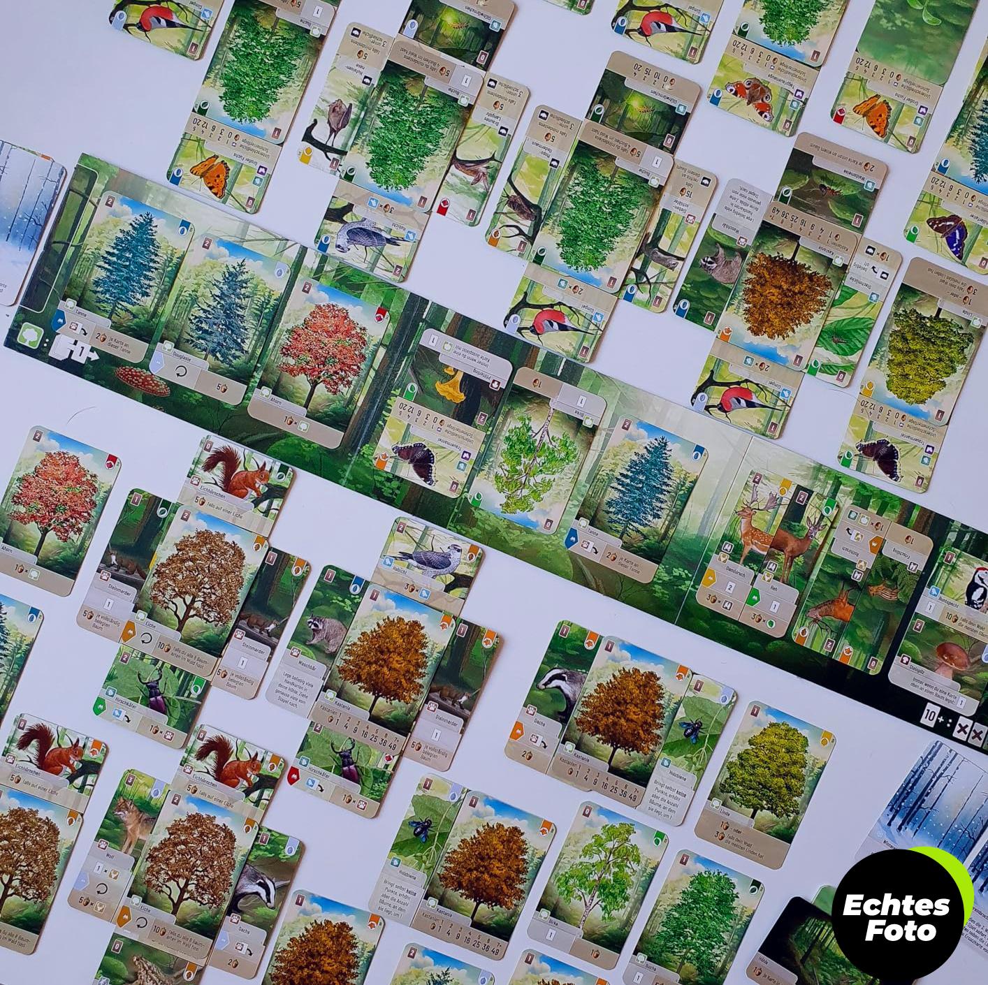 lookout-mischwald-familienspiel-kartenspiel-2-5-spieler-ab-10-jahren-foto-2