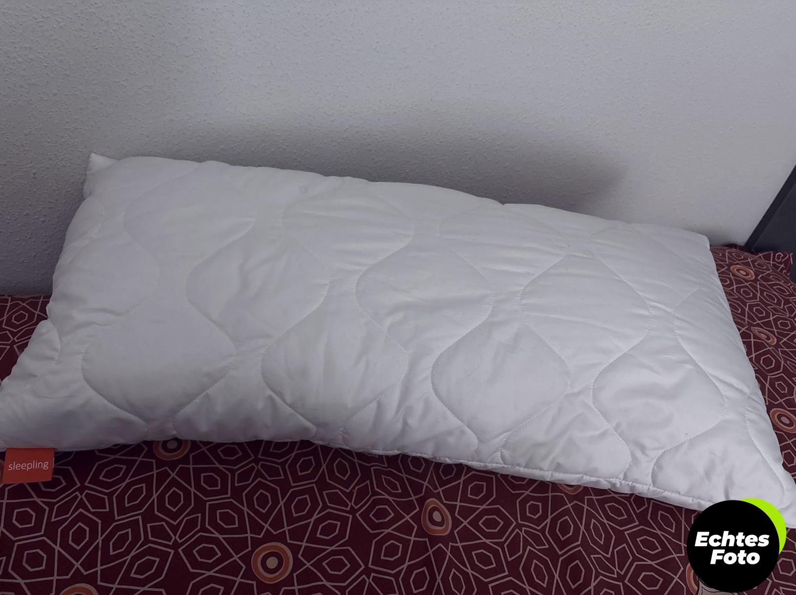 sleepling-kissen-set-40x80-2stueck-allergiker-waschbar-foto-2